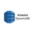 amazon dynamodb